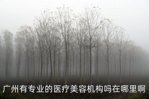 廣州有專業(yè)的醫(yī)療美容機(jī)構(gòu)嗎在哪里啊