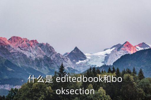 什么是 editedbook和booksection