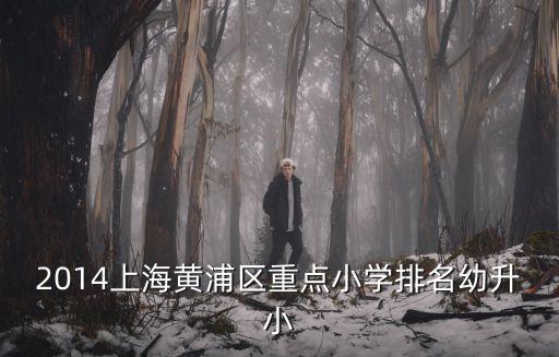 上海市復(fù)興東路第三小學(xué)怎么樣，黃浦區(qū)復(fù)興東路第三小學(xué)的教學(xué)質(zhì)量如何