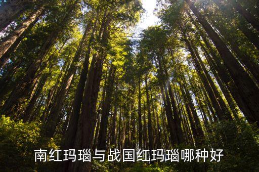 寶玉石鑒賞,清華大學(xué)寶玉石鑒賞