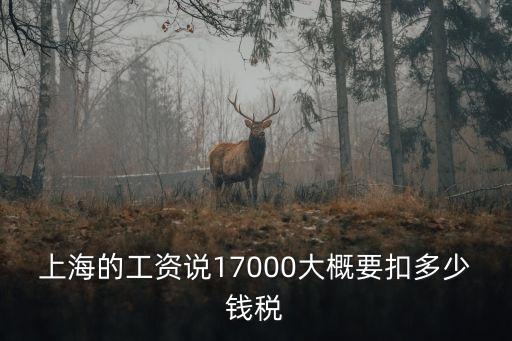 上海的工資說17000大概要扣多少錢稅