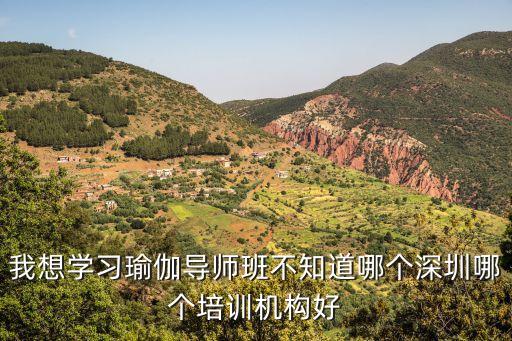 我想學習瑜伽導(dǎo)師班不知道哪個深圳哪個培訓機構(gòu)好