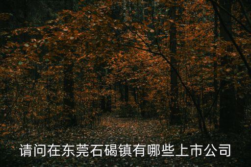 請問在東莞石碣鎮(zhèn)有哪些上市公司