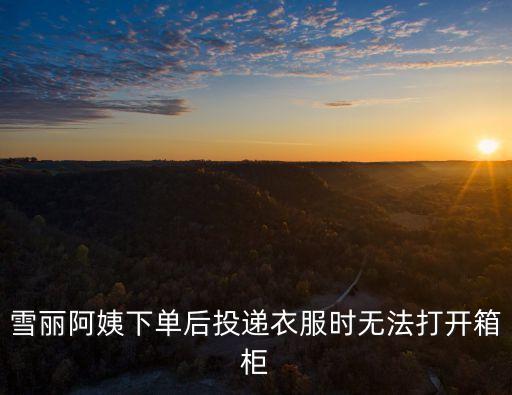 深圳市雪麗阿姨換購，雪麗阿姨下單后投遞衣服時無法打開箱柜