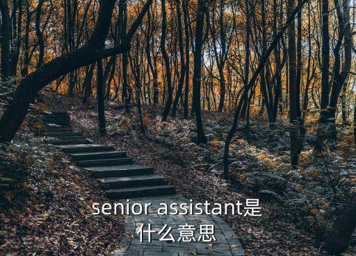 assistant是什么意思,assistant是什么意思?
