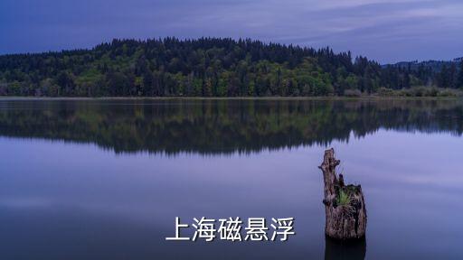 上海市星光計(jì)劃是什么，上海星光計(jì)劃平時(shí)可以去嗎有投票券嗎