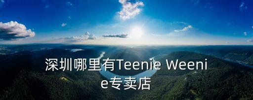 深圳佳琳派，深圳哪里有Teenie Weenie專賣店