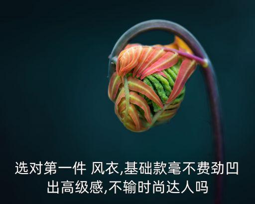 簡約風衣
