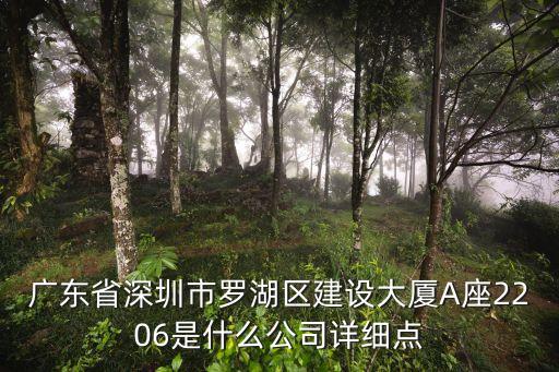 廣東省深圳市羅湖區(qū)建設(shè)大廈A座2206是什么公司詳細點