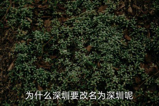中央宣布深圳改名了嗎，深圳市改名叫什么