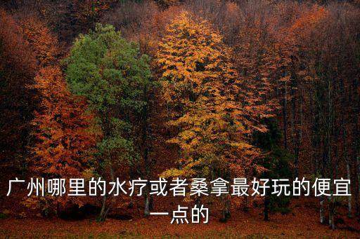 廣州哪里的水療或者桑拿最好玩的便宜一點的