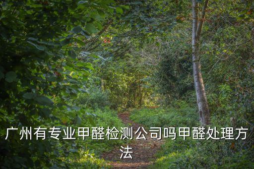 廣州緣趣，廣州有專業甲醛檢測公司嗎甲醛處理方法