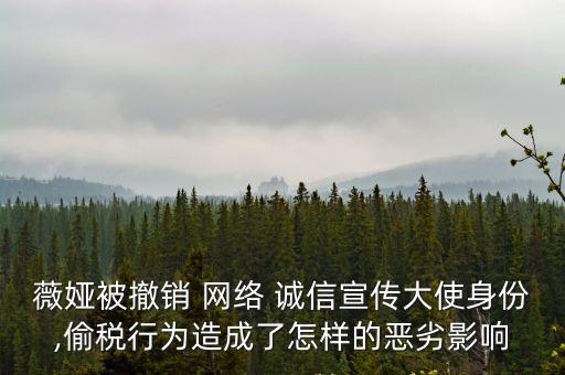 網絡誠信,我國向海勃灣區屬地網站、網民發出強化誠信責任杜絕虛假信息