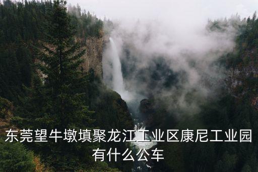 東莞望牛墩填聚龍江工業區康尼工業園有什么公車