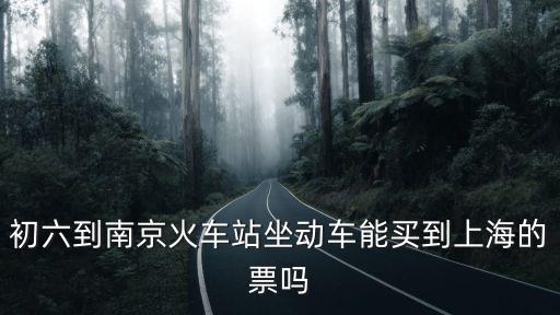 上海市環(huán)衛(wèi)局水運(yùn) 六隊(duì) 戶口，初六到南京火車站坐動(dòng)車能買到上海的票嗎