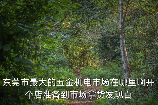 東莞市最大的五金機(jī)電市場在哪里啊開個(gè)店準(zhǔn)備到市場拿貨發(fā)現(xiàn)百