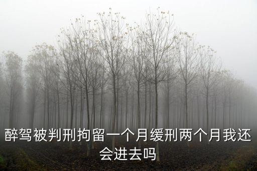 醉駕被判刑拘留一個月緩刑兩個月我還會進去嗎