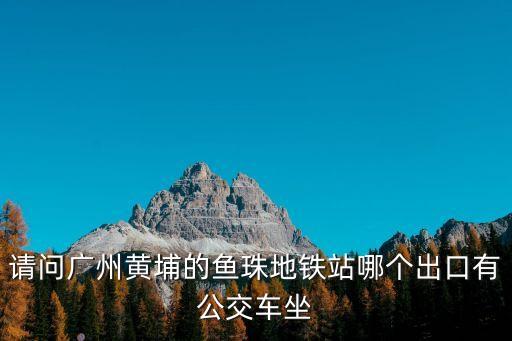 廣州黃埔色魚珠，誰知道廣州地鐵5號線魚珠站位置