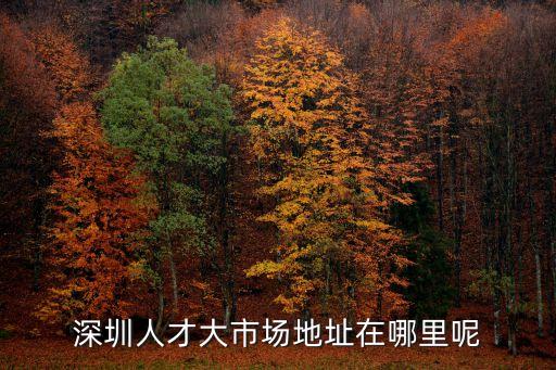 2015年深圳人才市場，深圳人才市場有那些