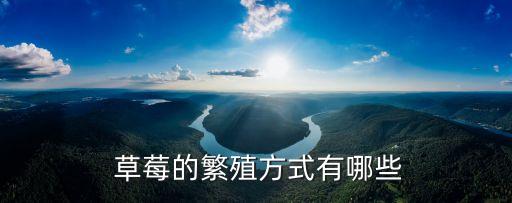  草莓的繁殖方式有哪些