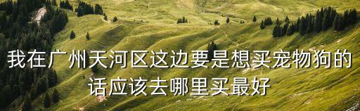 我在廣州天河區這邊要是想買寵物狗的話應該去哪里買最好