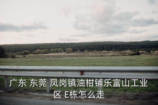 廣東 東莞 鳳崗鎮油柑鋪樂富山工業區 E棟怎么走