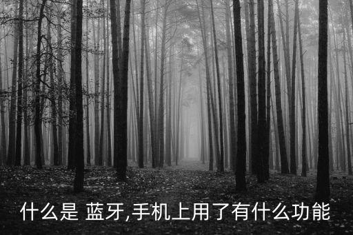 藍牙是干什么用的