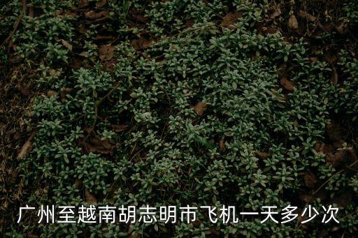 廣州至越南胡志明市飛機一天多少次