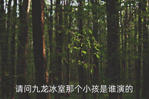 請問九龍冰室那個小孩是誰演的