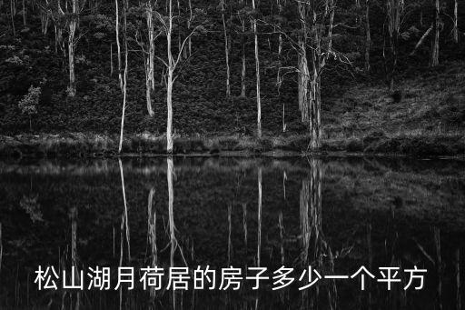 松山湖月荷居的房子多少一個(gè)平方