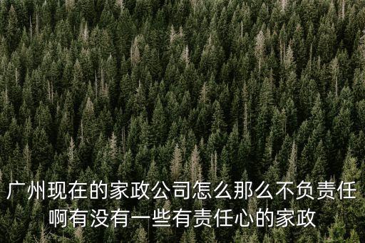 廣州現(xiàn)在的家政公司怎么那么不負責(zé)任啊有沒有一些有責(zé)任心的家政