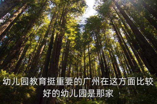 廣州梅園西幼兒園，請問請問廣州海珠區櫪窖或后窖哪里有民辦的幼兒園