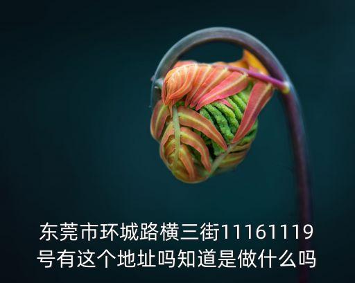 東莞市環城路橫三街11161119號有這個地址嗎知道是做什么嗎