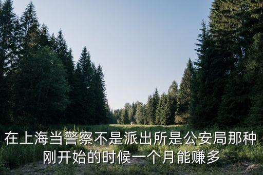 在上海當警察不是派出所是公安局那種剛開始的時候一個月能賺多