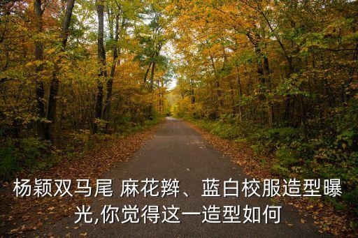 麻花辮圖片,為什么現(xiàn)在還有女生扎麻花辮?
