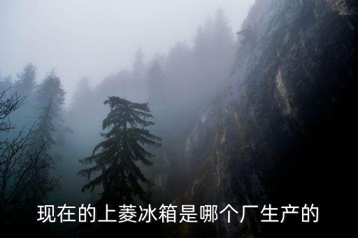 上海市上菱電冰箱廠在什么路，現(xiàn)在的上菱冰箱是哪個(gè)廠生產(chǎn)的