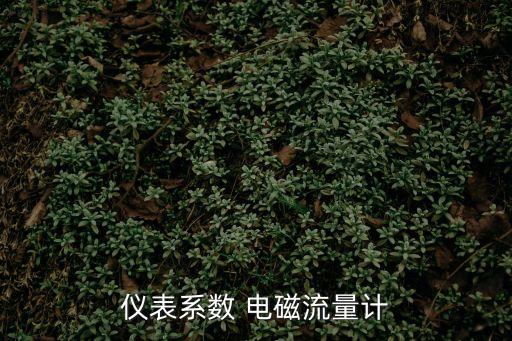 儀表系數(shù) 電磁流量計