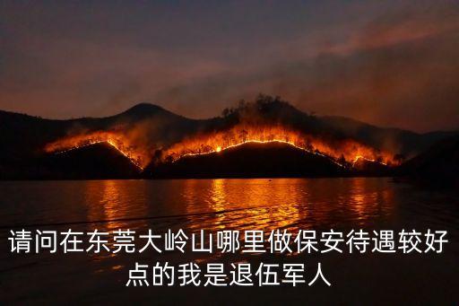 東莞退伍老兵待遇，退伍軍人優撫待遇