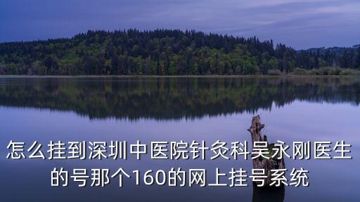 怎么掛到深圳中醫(yī)院針灸科吳永剛醫(yī)生的號(hào)那個(gè)160的網(wǎng)上掛號(hào)系統(tǒng)