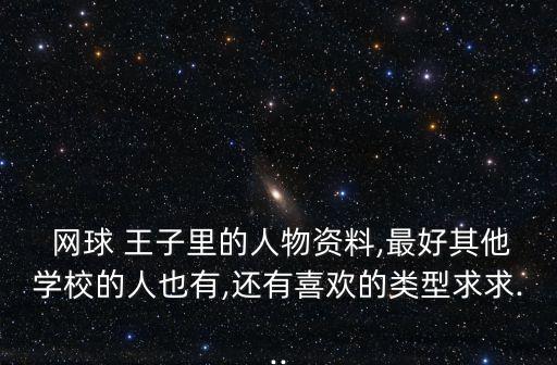 網球王子四大美人,網球王子奈奈子是誰?