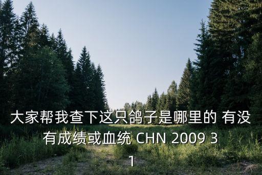 大家?guī)臀也橄逻@只鴿子是哪里的 有沒有成績或血統(tǒng) CHN 2009 31