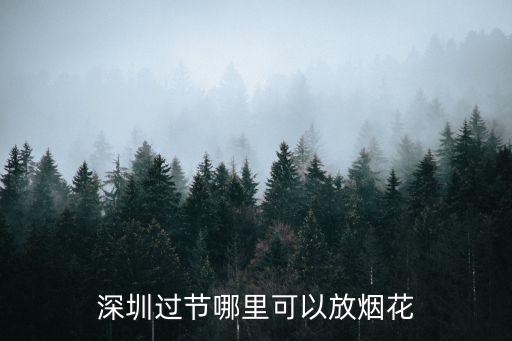 深圳過節哪里可以放煙花
