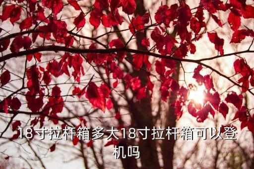 18寸行李箱尺寸,行李箱規格尺寸對照表