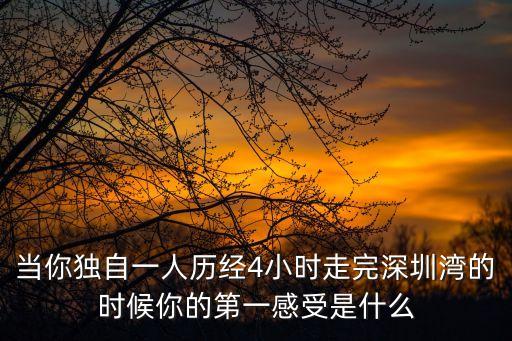 深圳灣瓏御府，當你獨自一人歷經4小時走完深圳灣的時候你的第一感受是什么
