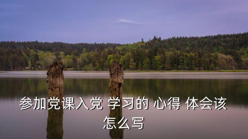 參加黨課入黨 學習的 心得 體會該怎么寫