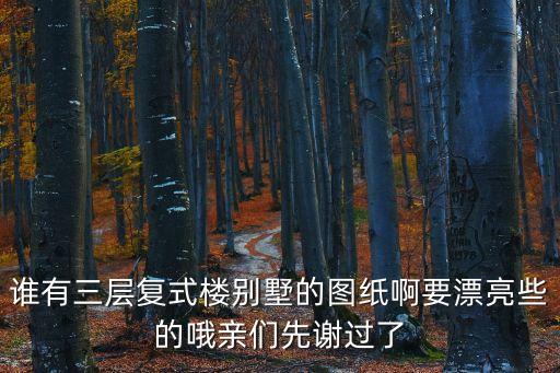誰有三層復式樓別墅的圖紙啊要漂亮些的哦親們先謝過了