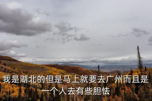 湖北馬上可以來廣州嗎，我是湖北的但是馬上就要去廣州而且是一個人去有些膽怯