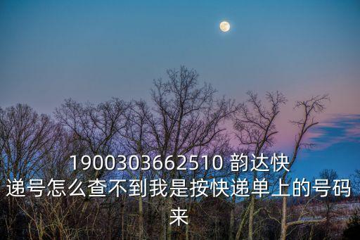 1900303662510 韻達快遞號怎么查不到我是按快遞單上的號碼來