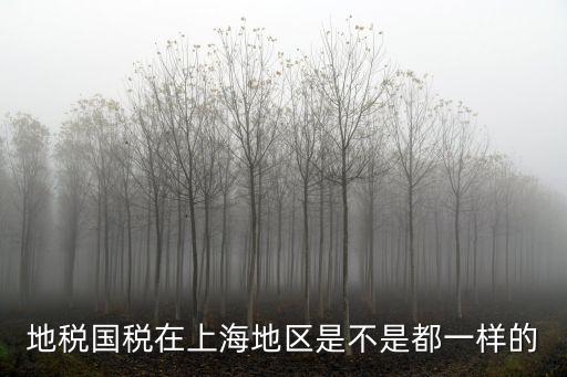 上海市地稅與國稅，地稅國稅在上海地區是不是都一樣的