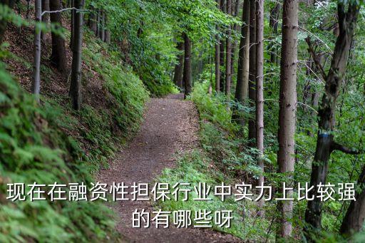 現在在融資性擔保行業中實力上比較強的有哪些呀